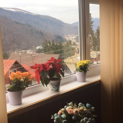 Terasa interioară cu vedere panoramică